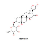 Adonitoxin