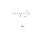 Alliin