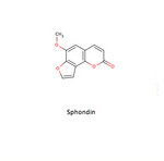 Sphondin