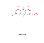 Physicon