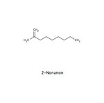 Nonanon