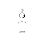 Sabinen