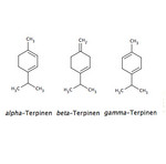 Terpinen