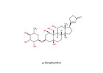 StrophanthinG