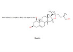 Ruscin