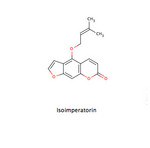 Isoimperatorin