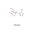 Pilocarpin