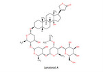 LanatosidA