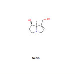 Necin