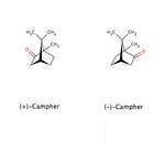 Campher
