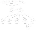 Sesquiterpene