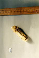 Droge, Foto 2***